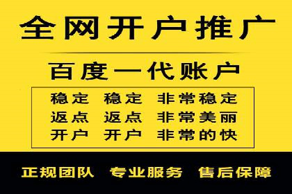 某电商平台的SEM投放全流程案例